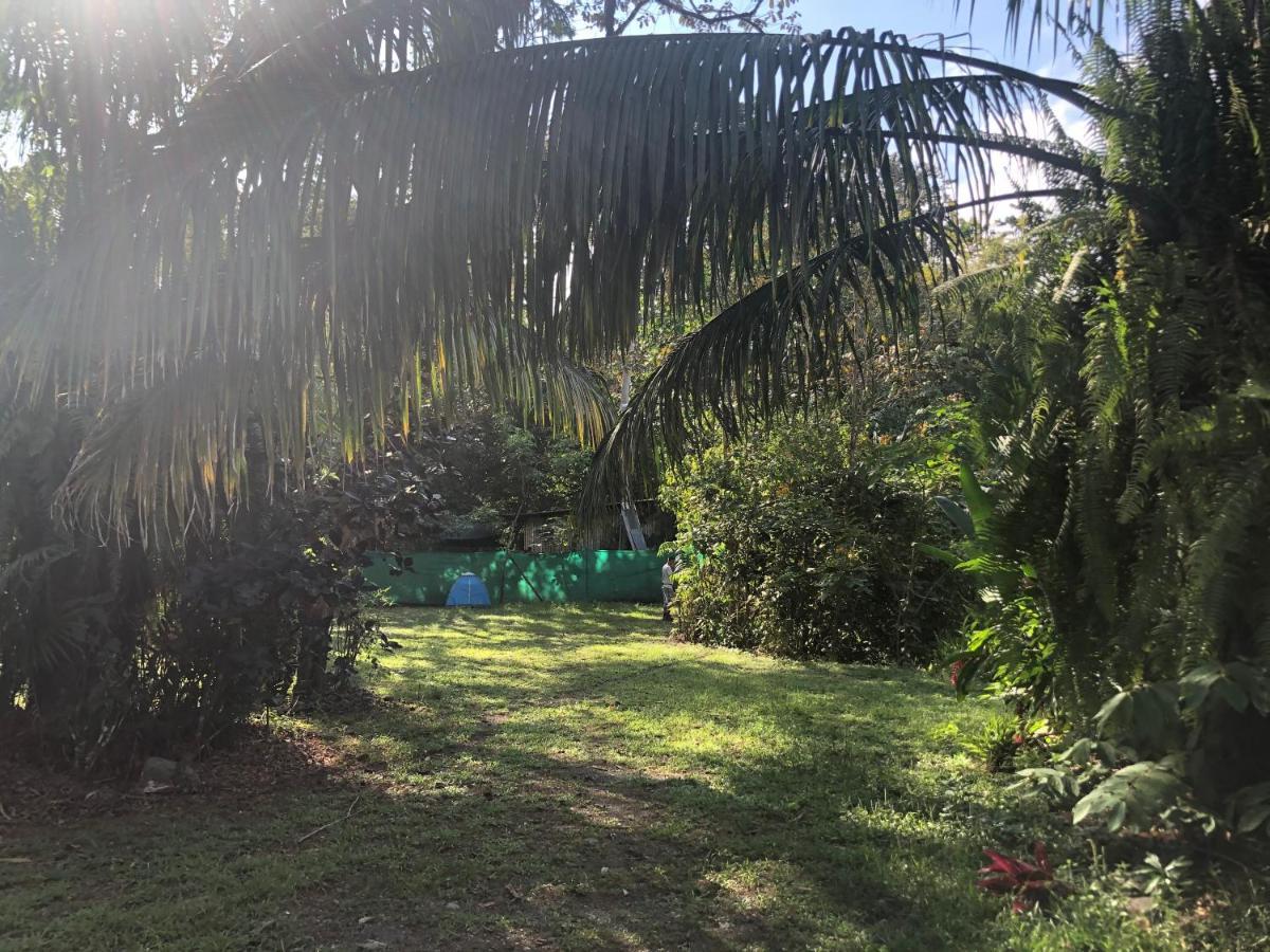 Chosa Manglar Suites & Cabins Puerto Jiménez Kültér fotó