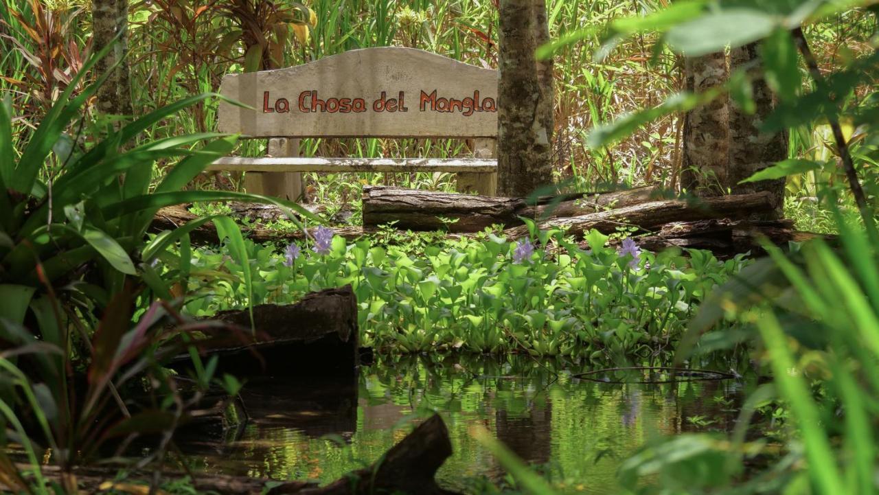 Chosa Manglar Suites & Cabins Puerto Jiménez Kültér fotó
