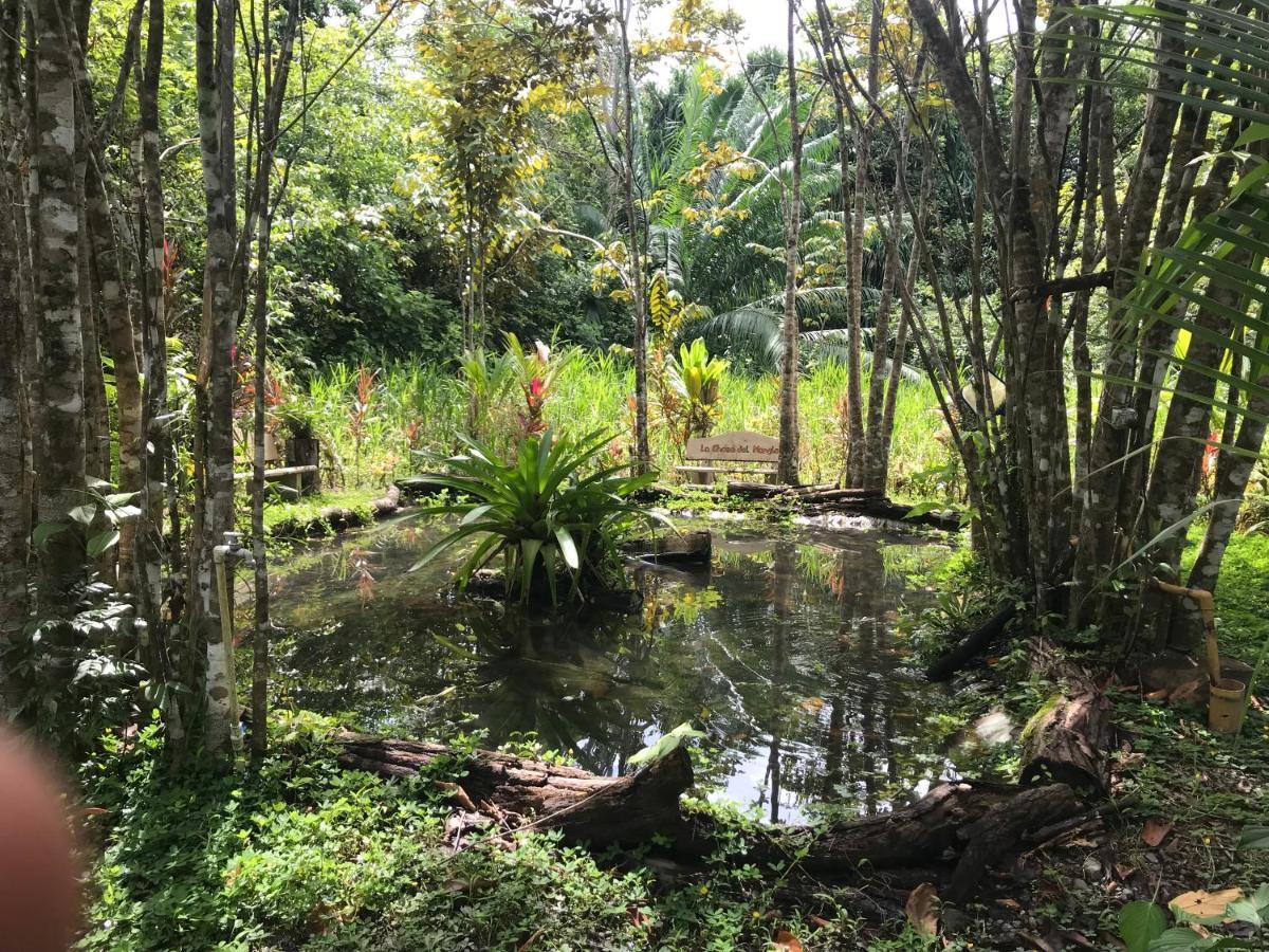 Chosa Manglar Suites & Cabins Puerto Jiménez Kültér fotó