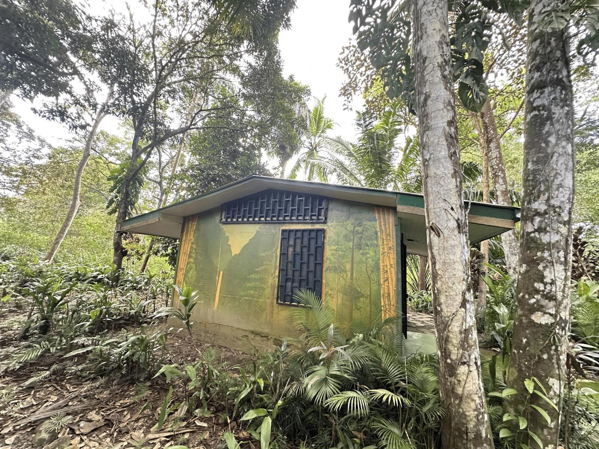 Chosa Manglar Suites & Cabins Puerto Jiménez Kültér fotó