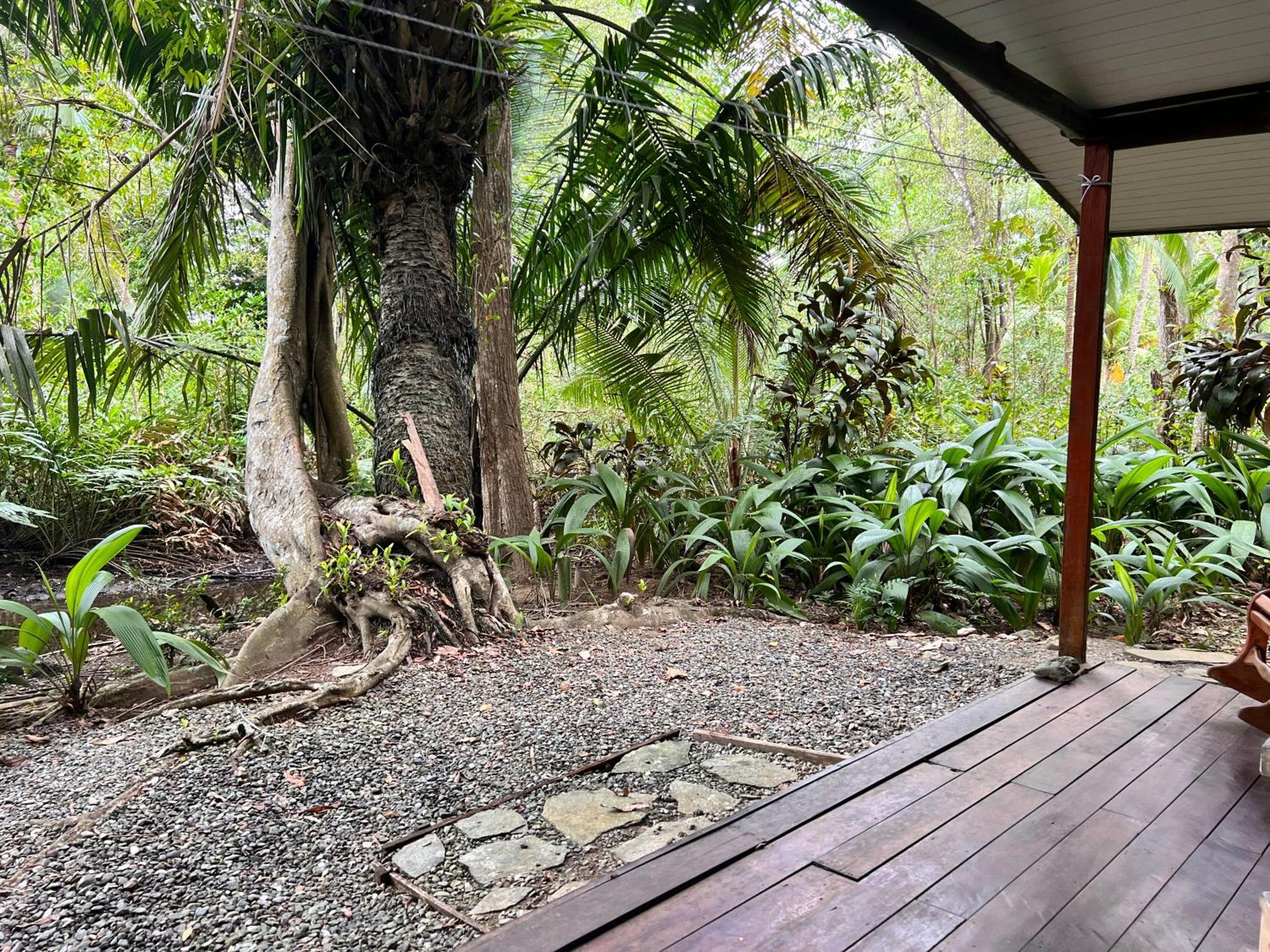 Chosa Manglar Suites & Cabins Puerto Jiménez Kültér fotó